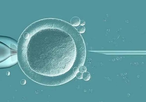 为什么卵子发育不成熟?女性卵泡发育不成熟是什么原因?